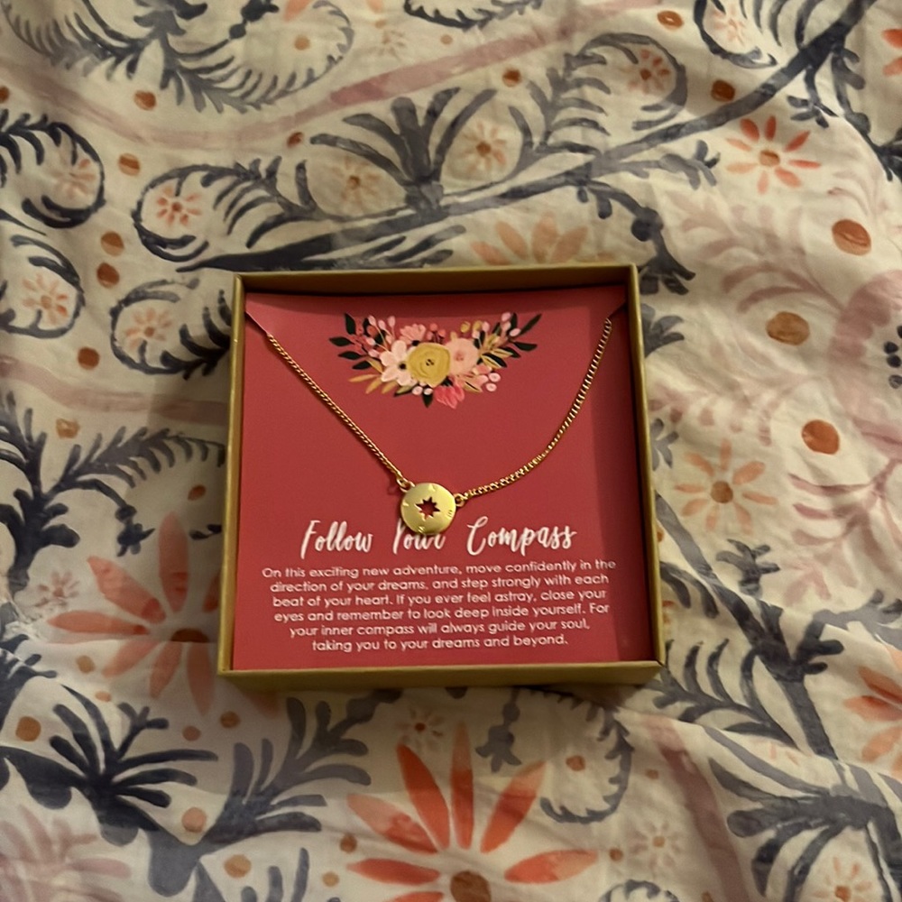 Dear Ava Gold Compass Necklace
